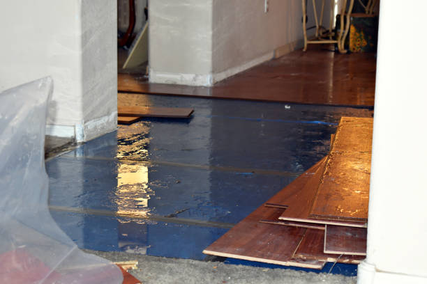 Professional Flood Cleanup technician working in Highland, IL